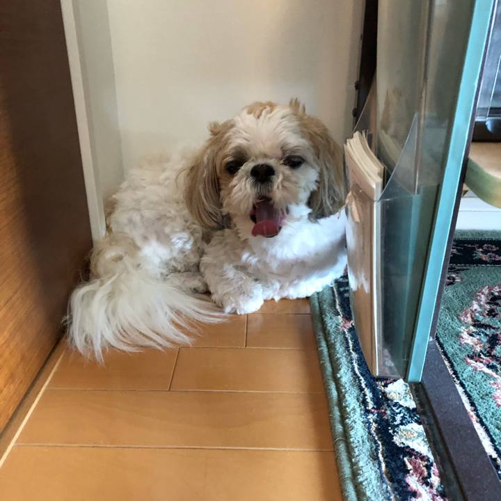 1f2054aa 754f 4a3e 9745 7c123e2a2270 1525644657691