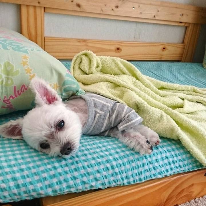 1f206b8f 5daf 48b3 b894 02aa3a2a278e 1522042828560