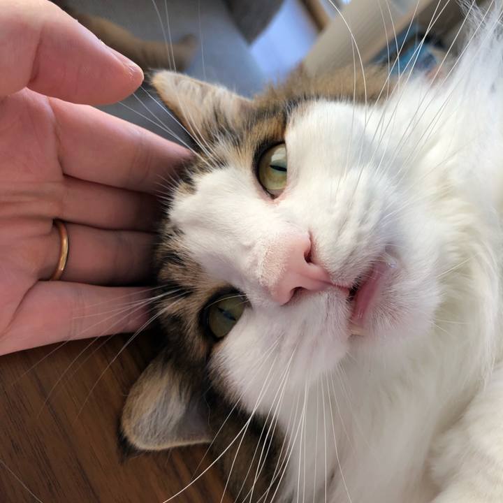 1f2081c4 449e 427f a3b7 8225f5b90138 1634823049215