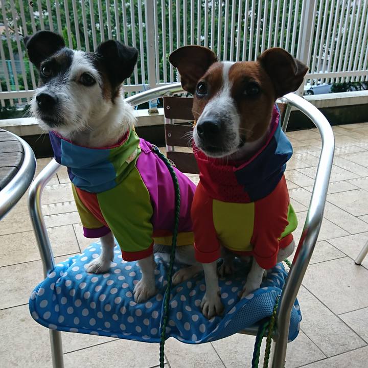 1f209c0d 3be5 4d83 8e76 1d1c2bdf9cea 1594711385068