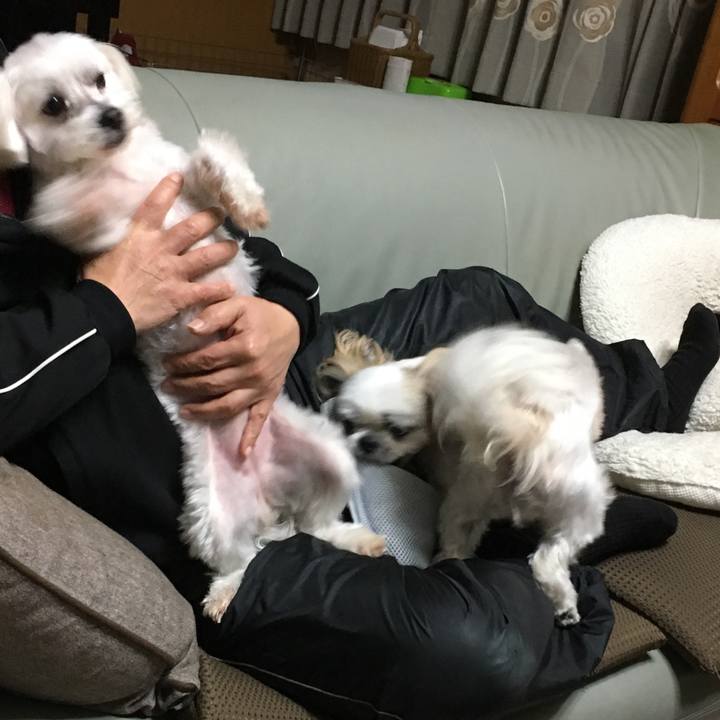 1f210fc6 3759 4174 be4f f5ccddece15e 1574423542242