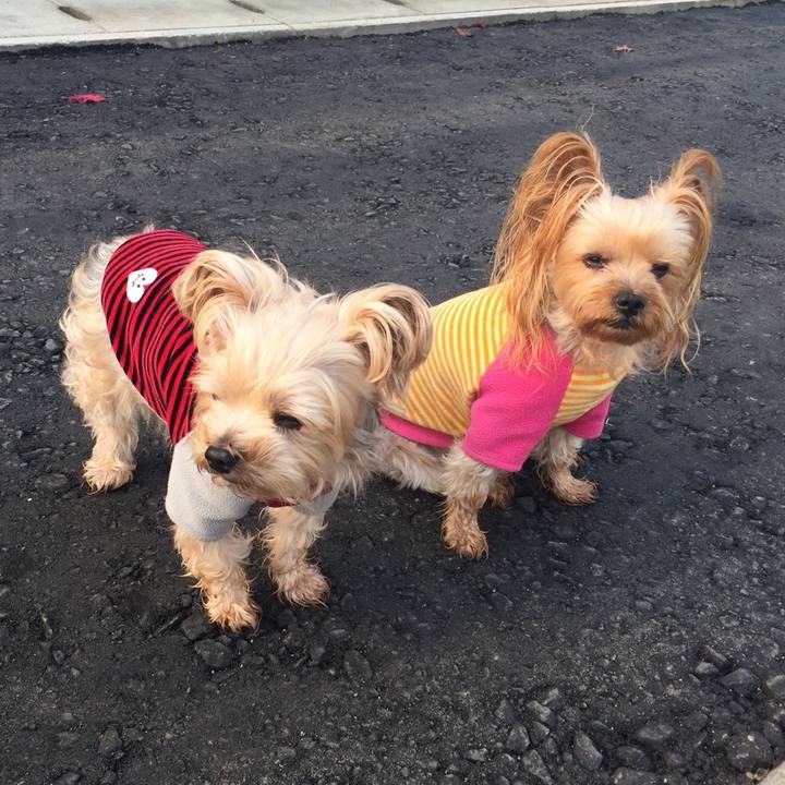 1f2142d9 3366 4a2b 841e f3340e3f7387 1541385608563