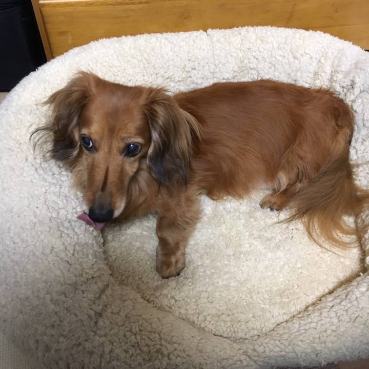 1f2149e4 f4f6 4031 82b3 b98d1c20da32 1558619606838