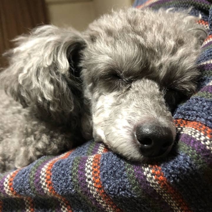 1f217a96 a0e9 4335 9c70 67f3cec23070 1573126496115