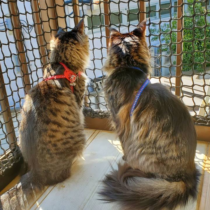 1f218d18 05f5 4310 a7ec 2529dd495ba1 1681620578343