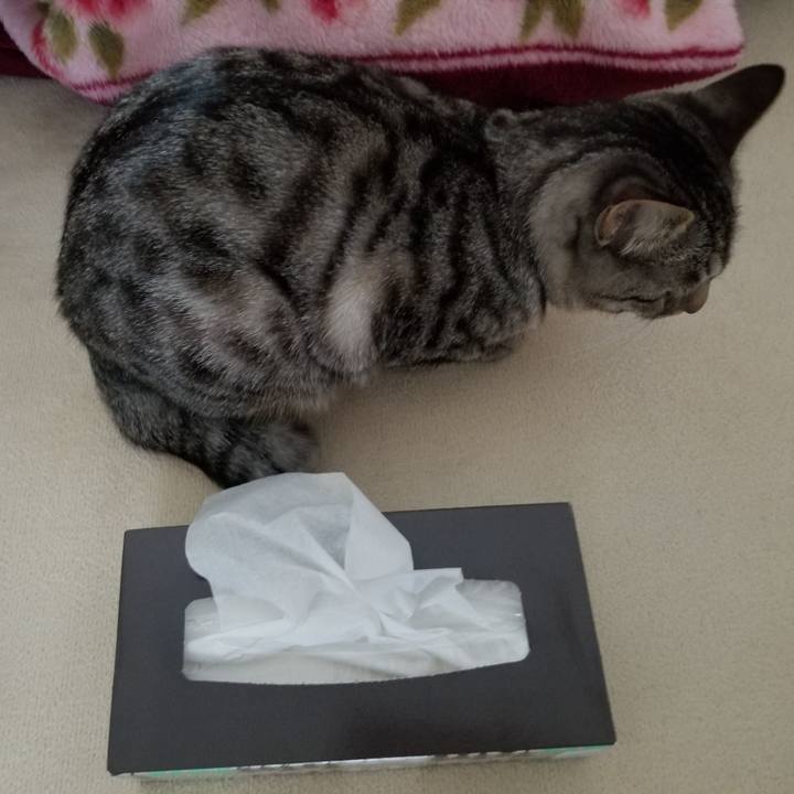 1f21f1ed 2347 4b2d bd57 6be3d0729780 1677251671753