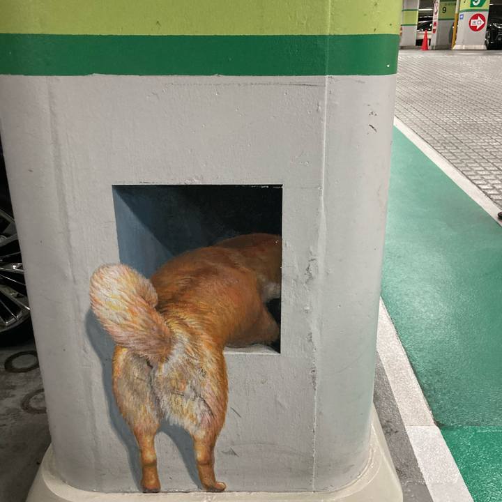 1f223354 2d50 4e47 99c7 9c0b82831681 1724120064679