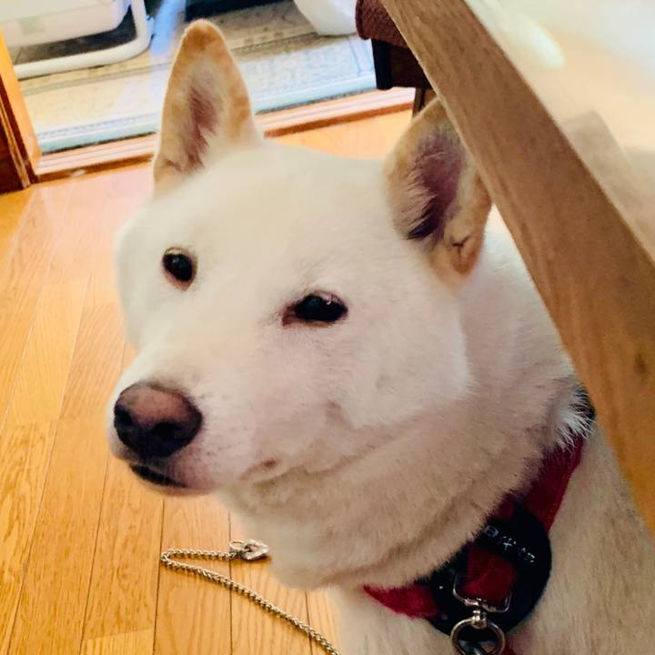 1f22aec5 d284 432c 86eb 8ba25d14d10d 1567809373706