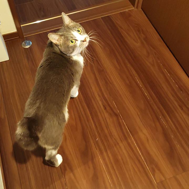 1f22b5e3 e20e 4ceb 9f37 a1a994726d16 1667253508893