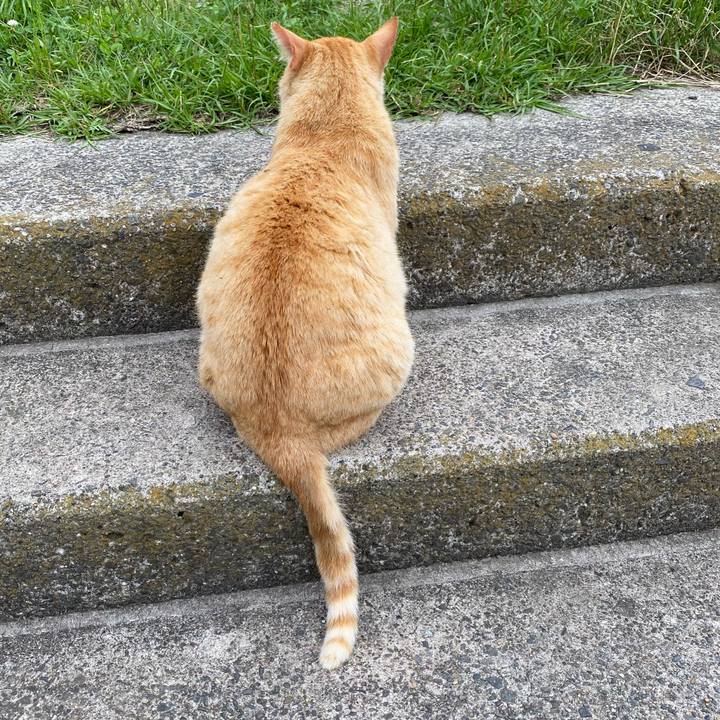 1f22bbb9 c1f0 4306 b5c1 666a30820eec 1659954473552