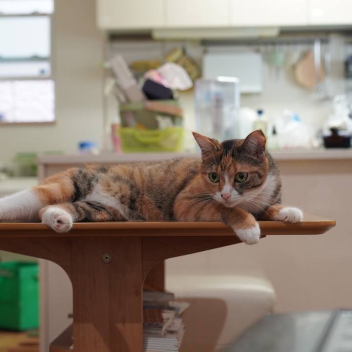 1f22bbc2 28e1 4fae 949e 963b7ca4d557 1630069823462