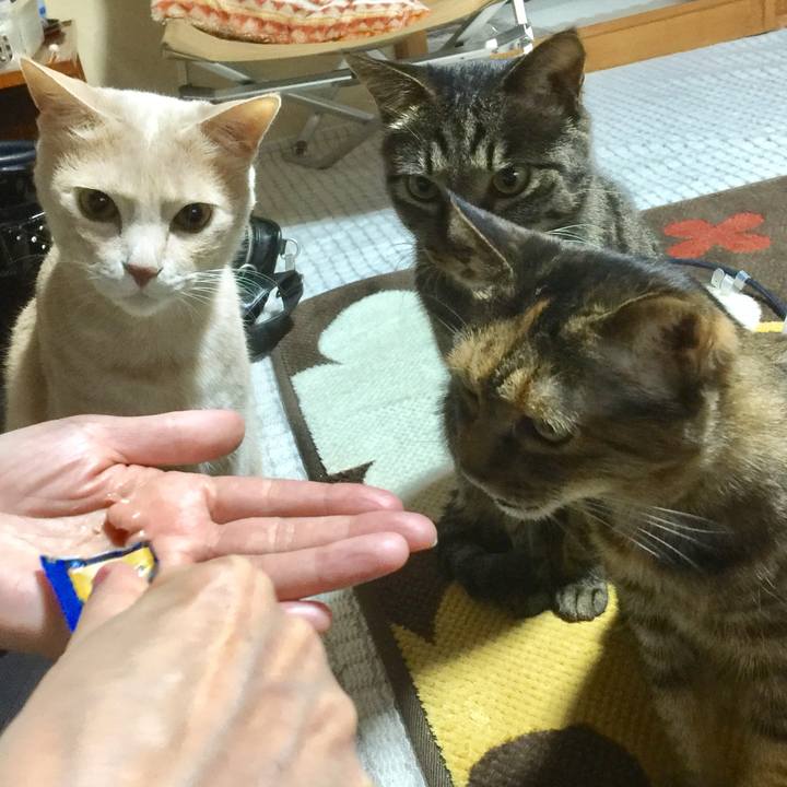 1f22e336 3cd5 4c39 899e 60c692284000 1701763587844