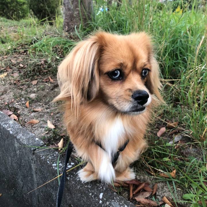 1f232107 2b07 4971 964d 002e4bd30ba6 1540244244870