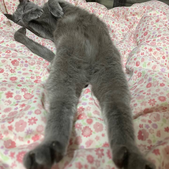 1f233636 3c25 4cfa b60a 38d29887b486 1653206300985