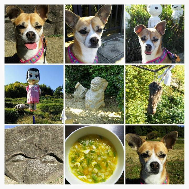 1f234bef 7ae6 4221 9630 6e64b351489a 1573289541426