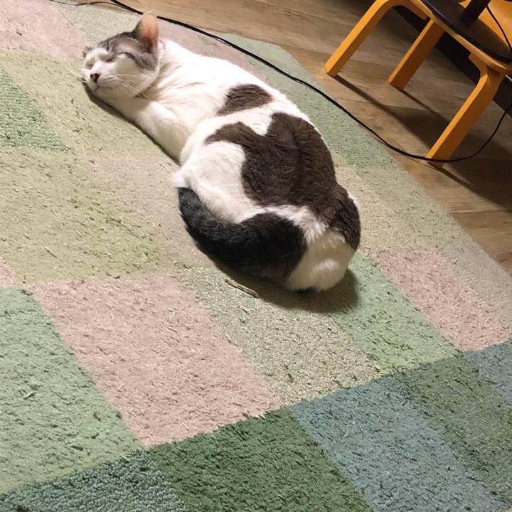 1f23572c aec4 4303 b4c6 1fbbb370d80b 1631765699316