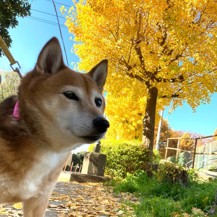 1f2393f7 9cea 445c b2b5 0e301be4e9ae 1637812195872