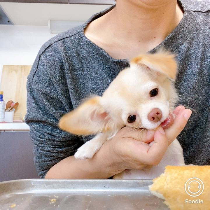 1f23d2e1 70ca 4ad3 aff2 0d1acab2c0ef 1602385500966