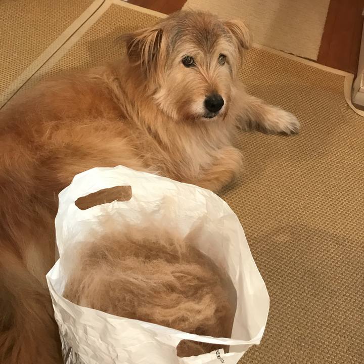 1f23e56a 4bf9 4448 bcd2 df1727f9212e 1554725519765