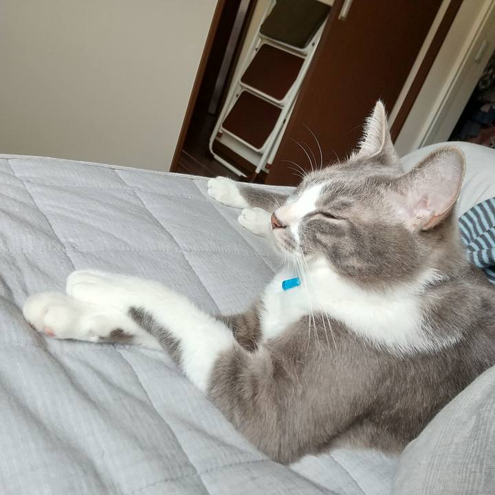 1f241310 1881 4c45 b0df dc922c76ff36 1617499466025