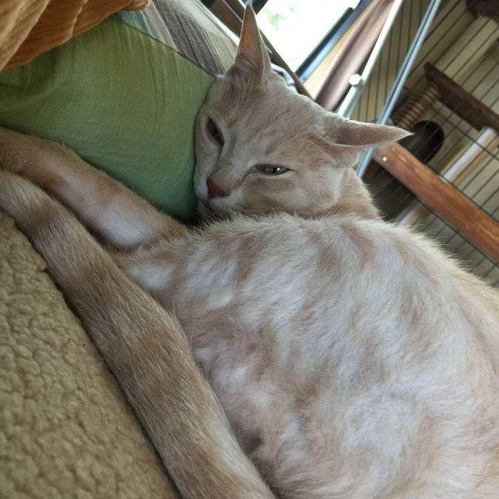 1f241810 0e57 4672 84b0 35051c312103 1653444815517