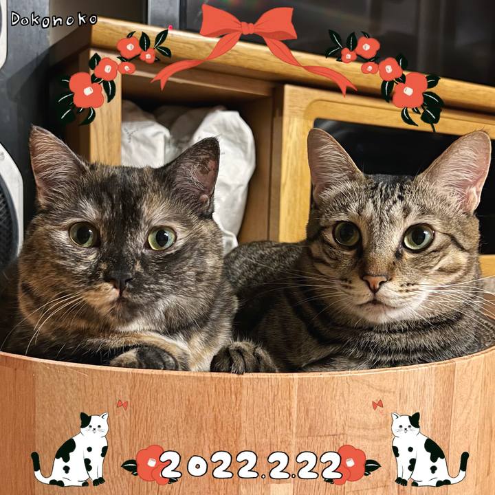 1f244f25 8545 4792 9629 3d4114444ef4 1645534581393