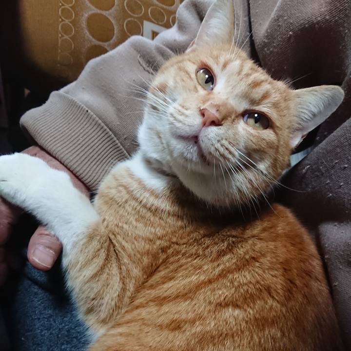 1f247c51 e0a3 40a4 9b5e 7631607150b5 1578027824589