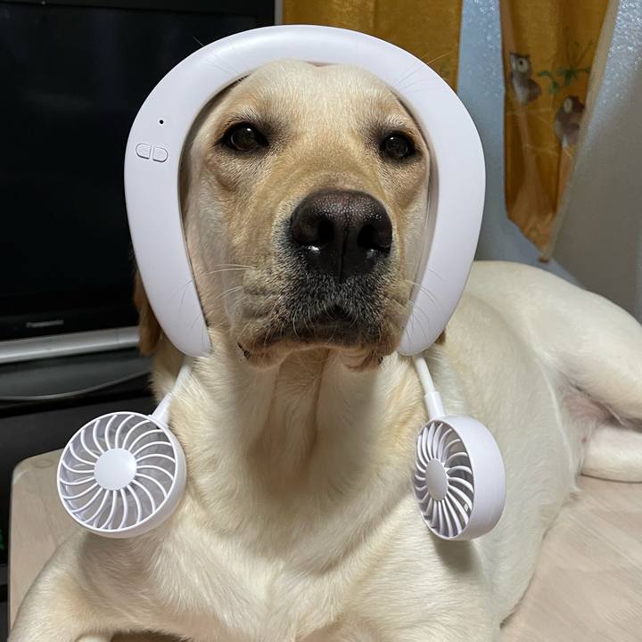 1f248bdd 21f1 4cdc 8fb8 c97498424603 1659231377817