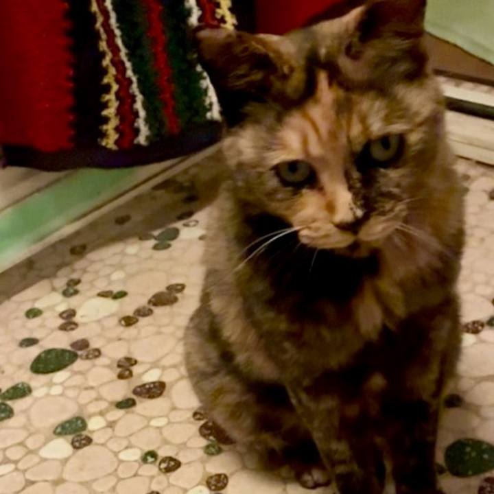 1f24911a f2d0 48af 97ef 127fdb20bed8 1753135438570