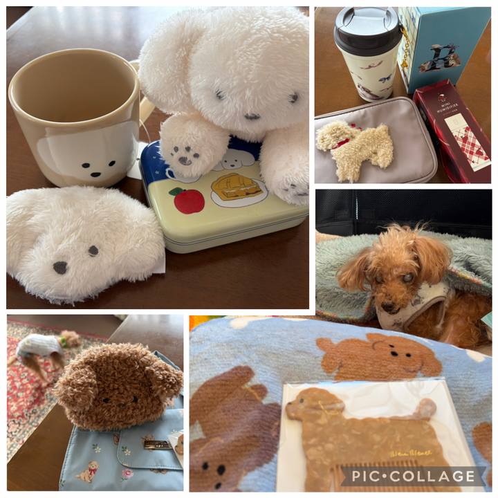 1f24a5f4 fa43 4a57 be59 2d340ba66fae 1770361336650