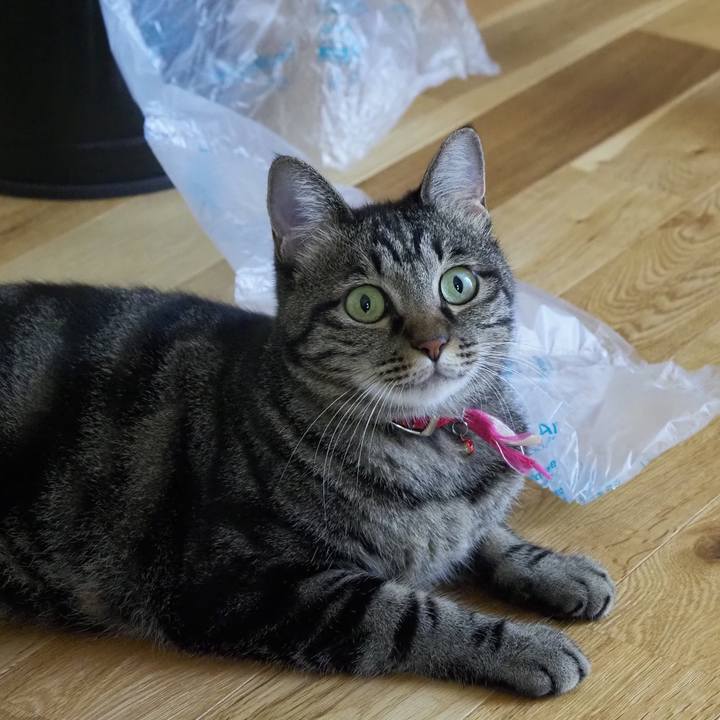 1f24ae1d 70e7 49a8 902d 100af941d8e5 1632646685582