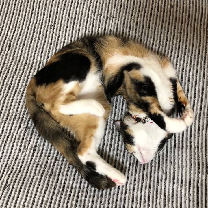 1f24b010 fe99 4a69 9fef 8e7174c4a809 1560077778431