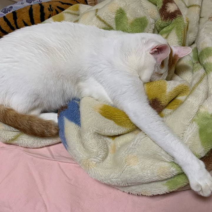 1f24f666 0c11 4248 8eee 84b4ede6faf6 1610722229432