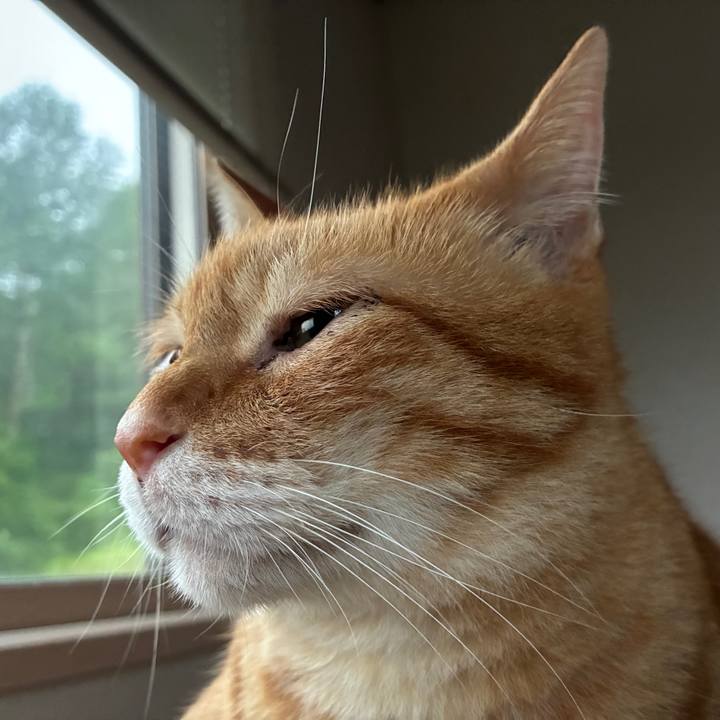 1f252e98 3d4a 48e5 80a8 0a56977f1f51 1752868942508