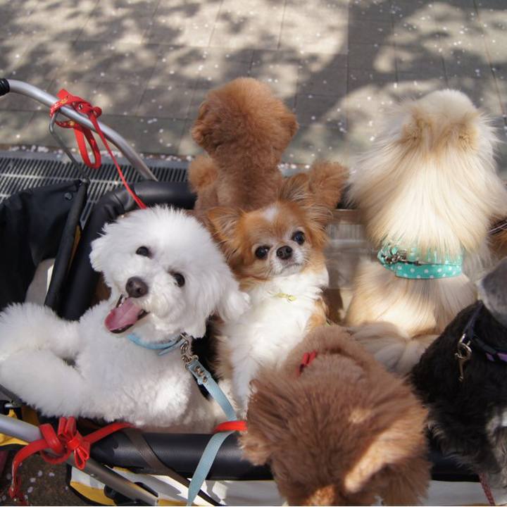 1f2537c9 d561 4ded 8507 7039d3aed235 1553935357869