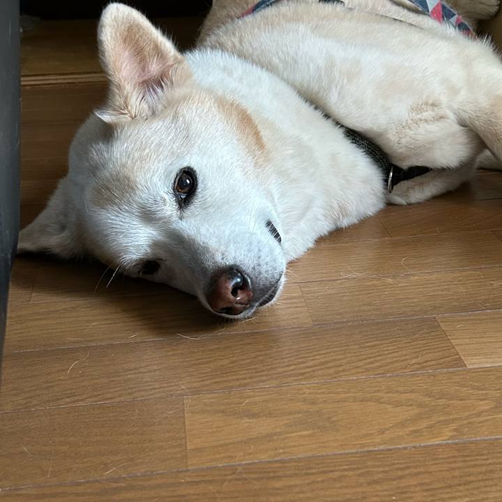 1f254f00 bebd 4d8b b719 65ca4347b67e 1722753736743