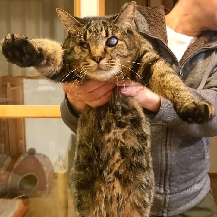 1f25991b dc9f 4b42 bc1f 7211ff5c5339 1584086099078