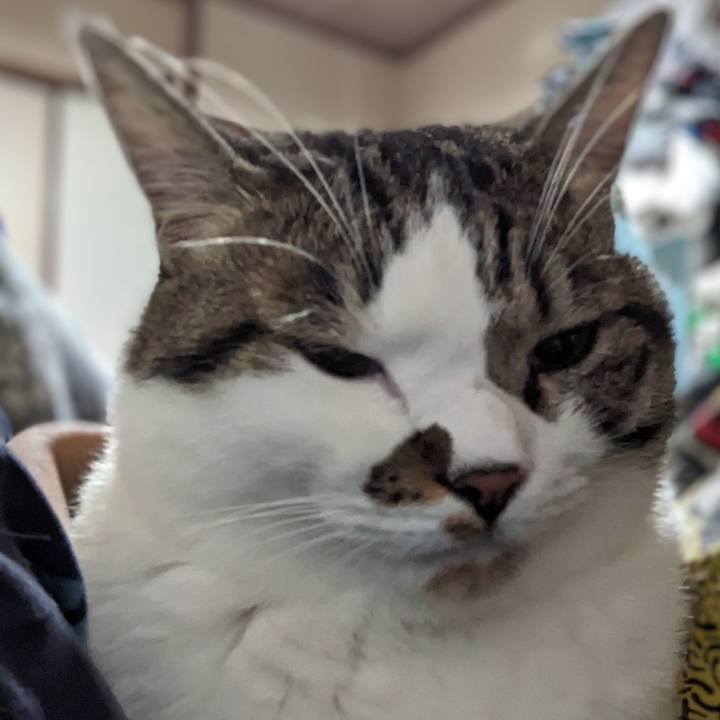 1f25c313 1633 4199 9f00 f6d7cf928674 1688991718872