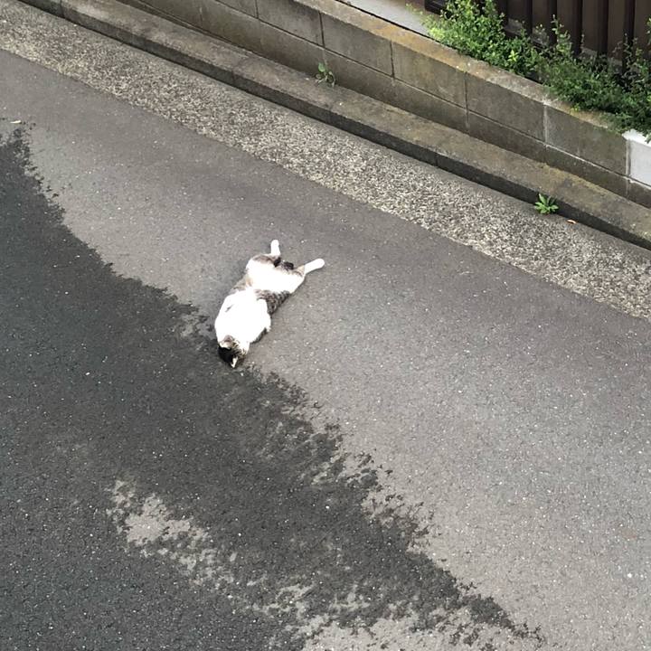 1f26364f fe1f 4350 bdb1 5d7649990feb 1531135373458