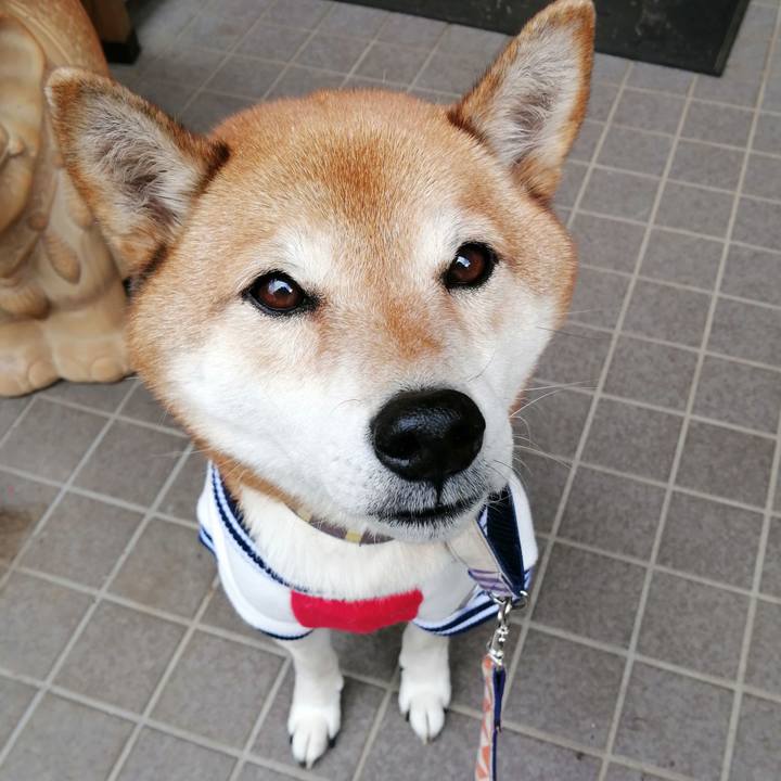 1f265493 c090 48f6 8cb0 599467b5729f 1671237646899