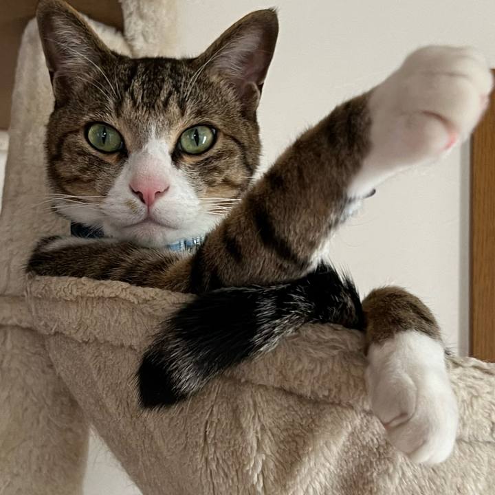 1f266ecc 56f0 4353 ae6a 02f41e3b0966 1721431563934