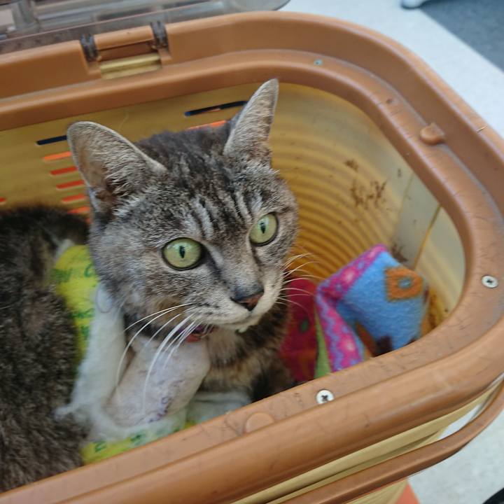 1f268114 8999 4ab4 b0cc 92e6822b0ef5 1586589542496