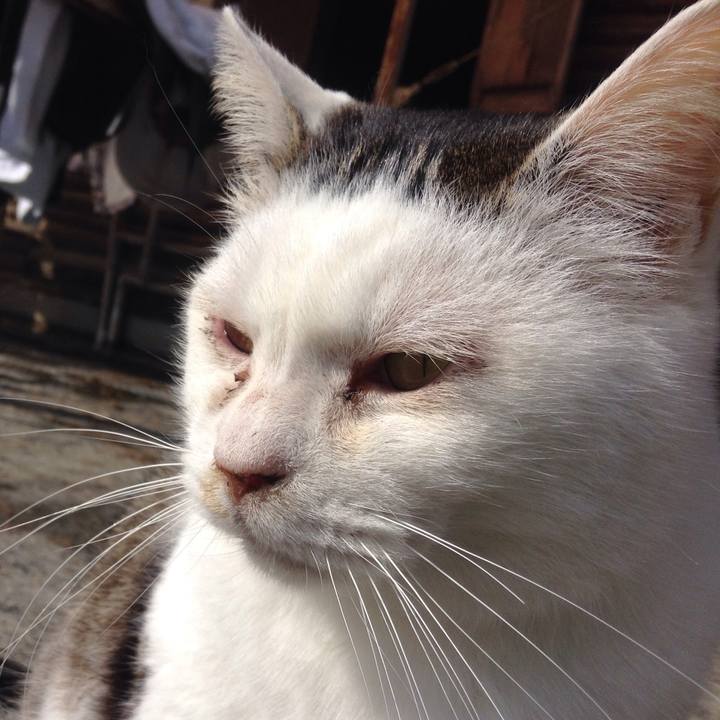 1f2684bd a7d3 4a53 8a69 88c4b59c8741 1519300978866