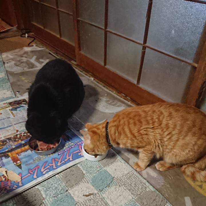 1f2687c6 cd14 4e19 825c daaa4f26c9e4 1649925130981