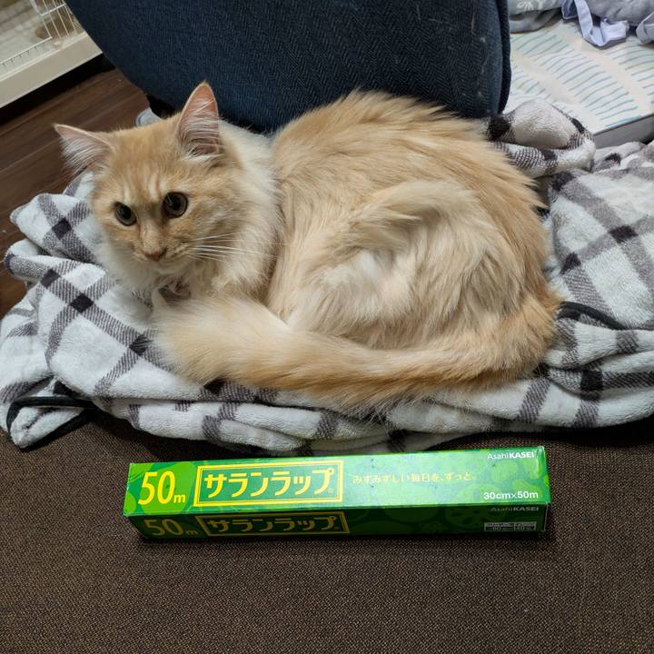 1f26ad5c 5457 4414 9a6d 92f6dd04fe04 1744632688799