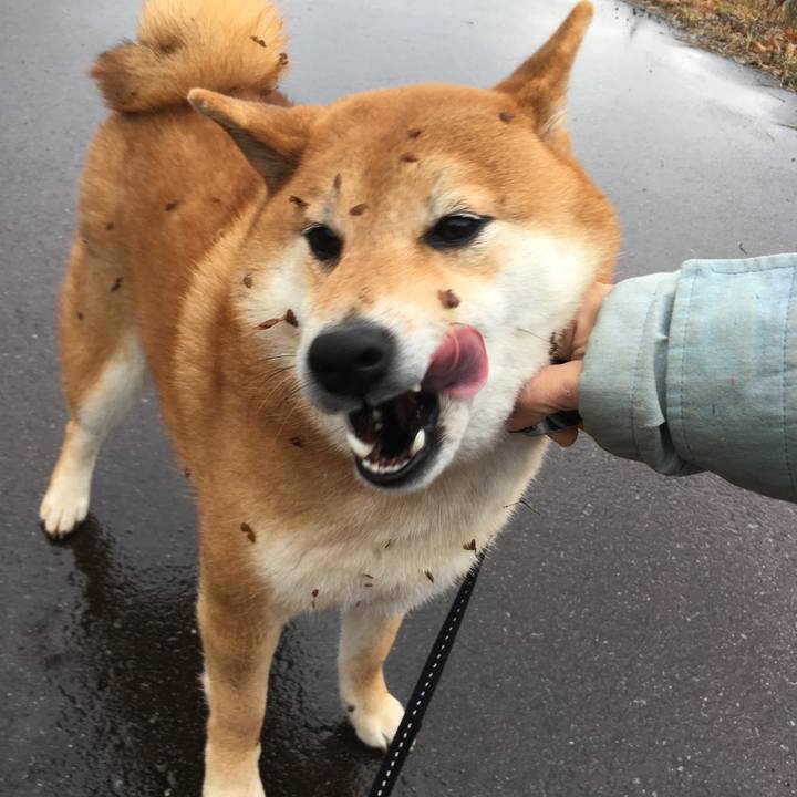 1f26ff17 8977 40ad b7b9 f29a63bde6f4 1547962144893