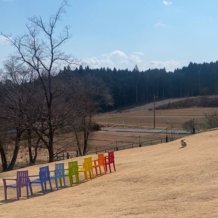 1f270907 218b 4940 ba95 2444773cc047 1739791580023