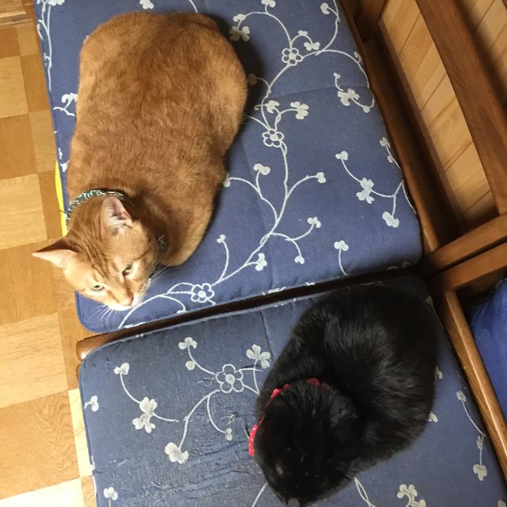 1f271aa2 2d9f 4b67 99b5 f0a04fa23912 1553025025990