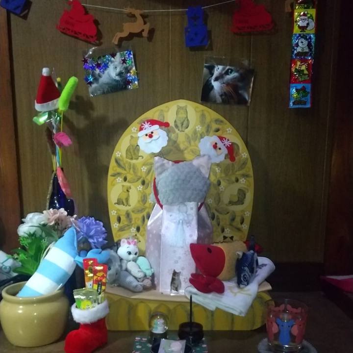 1f271e8b 92f1 428c 8c0e 82e8a400c883 1730895614509