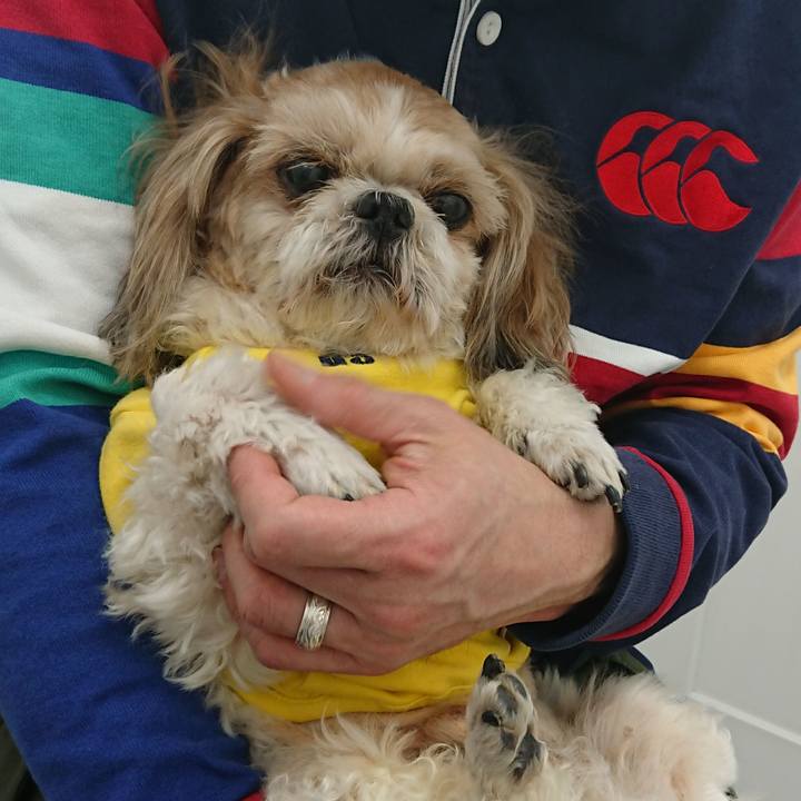 1f273573 7021 433e ab63 f892ebdb7025 1520130737531